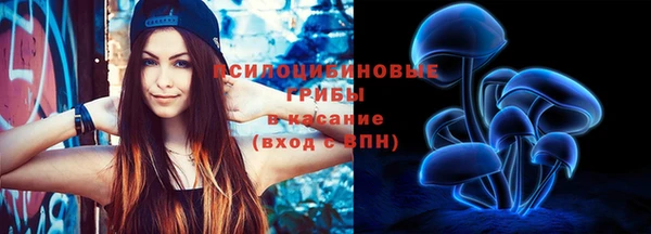 apvp Балахна