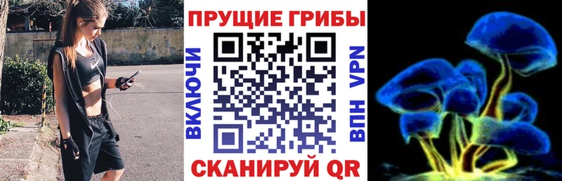 Галлюциногенные грибы Psilocybe магазин продажи ОМГ ОМГ мориарти состав Красноперекопск